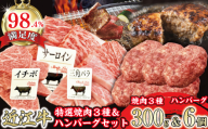 特撰近江牛おすすめ部位　焼肉3種300ｇ＆近江牛生ハンバーグ６個セット【FO41W】