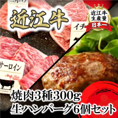 特撰近江牛おすすめ部位　焼肉3種300ｇ＆近江牛生ハンバーグ６個セット【FO41SM】 1460962 - 滋賀県近江八幡市