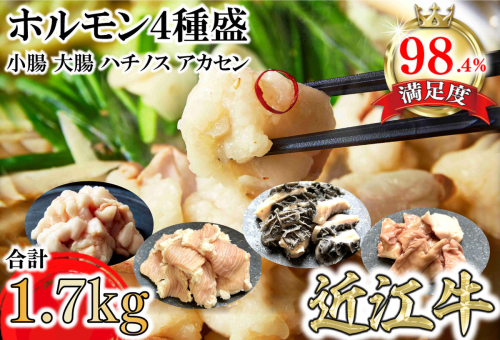 希少近江牛ホルモン４種盛（小腸 大腸 ハチノス アカセン）計1.7kg【FO43W】 1460964 - 滋賀県近江八幡市