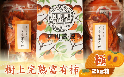 【先行予約】樹上甘熟富有柿 【極】2kg箱　〈出荷時期：2026年11月15日～2026年12月10日出荷終了〉【 柿 かき フルーツ 神奈川県 海老名市 】 1461160 - 神奈川県海老名市
