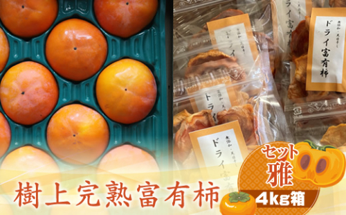 【先行予約】樹上甘熟富有柿 【セット雅】4kg箱　〈出荷時期：2026年11月15日～2026年12月10日出荷終了〉【 柿 かき フルーツ 神奈川県 海老名市 】 1461165 - 神奈川県海老名市