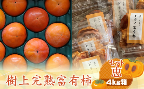 【先行予約】樹上甘熟富有柿 【セット恵】4kg箱　〈出荷時期：2026年11月15日～2026年12月10日出荷終了〉【 柿 かき フルーツ 神奈川県 海老名市 】 1461167 - 神奈川県海老名市