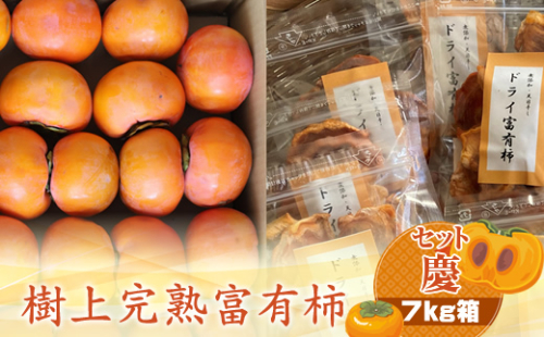 【先行予約】樹上甘熟富有柿 【セット慶】7kg箱　〈出荷時期：2026年11月15日～2026年12月10日出荷終了〉【 柿 かき フルーツ 神奈川県 海老名市 】 1461168 - 神奈川県海老名市