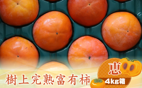 【先行予約】樹上甘熟富有柿 【恵】4kg箱　〈出荷時期：2026年11月15日～2026年12月10日出荷終了〉【 柿 かき フルーツ 神奈川県 海老名市 】 1461521 - 神奈川県海老名市