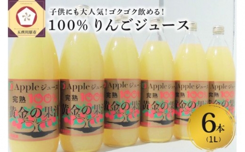 青森県産完熟100％りんごジュース 1L×6本