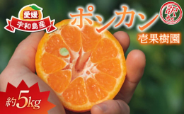 こちらはポンカン（今津ポンカン）の訳あり品です。肥料管理や水分管理を丁寧に行い、農家のこだわりが詰まった愛媛県宇和島市産のポンカン（今津ポンカン）です。少ない酸味と厚みのある甘味にトロピカルな香りが特