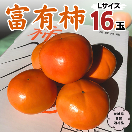 【 先行予約 2025年11月中旬以降発送 】富有柿 L 16玉 (茨城県共通返礼品 石岡市)  果物 くだもの フルーツ 柿 かき [DC001sa] 1461771 - 茨城県桜川市