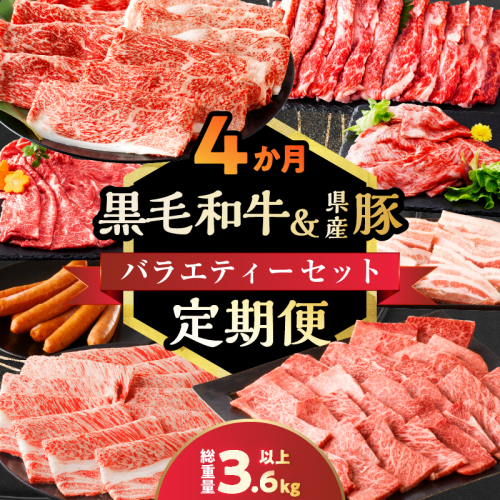 ≪4か月定期便≫黒毛和牛＆県産豚バラエティーセット(総重量3.6kg以上) 肉 牛 牛肉 おかず 国産_T030-069 1461776 - 宮崎県都農町