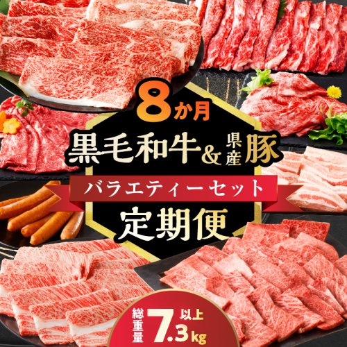 ≪8か月定期便≫黒毛和牛＆県産豚バラエティーセット(総重量7.3kg以上) 肉 牛 牛肉 おかず 国産_T030-070 1461777 - 宮崎県都農町