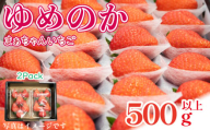 [ 先行予約 ] ゆめのか 500g 以上 (270g×2p) いちご ゆめのか 果物 フルーツ ストロベリー スイーツ 先行予約 阿波市 徳島県