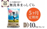 無洗米 10kg 青森県産 まっしぐら （精米） 【定期便 5ヶ月】