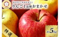 ※選べる 配送時期※ 【特選】旬の美味しいりんご 約5kg 青森産 【おまかせ1品種】