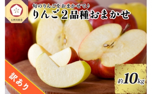 【選べる配送時期】 【訳あり】 旬の美味しい りんご 約10kg 青森産 【おまかせ2品種】