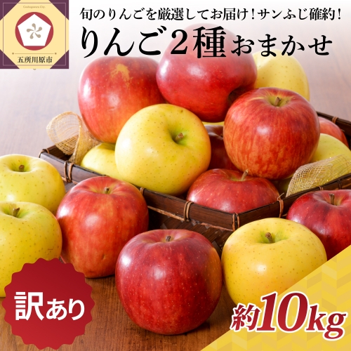 【選べる配送時期】 【訳あり】りんご 約10kg サンふじ確約 青森産 品種おまかせ2種以上