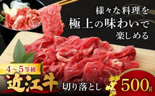 近江牛切り落とし 500ｇ 西川精肉店 滋賀県 東近江市 O-I15 和牛 牛肉 肉 切り落とし 焼肉 すき焼き 炒め物 ギフト お取り寄せ 高級 近江牛 1462683 - 滋賀県東近江市