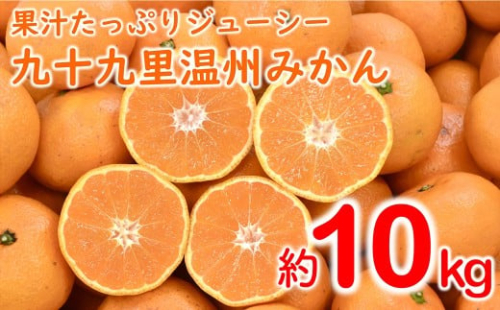 【数量限定/今シーズンラスト出荷！！！】【訳あり】九十九里温州みかん　約10kg SMBZ001