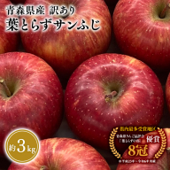 1～3月 訳あり 葉とらず サンふじ 家庭用 約3kg 【岩渕農園・平川市産・青森りんご・1月・2月・3月】