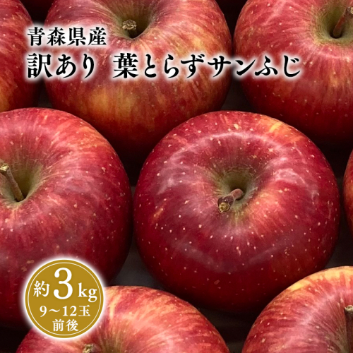 1～3月 訳あり 葉とらず サンふじ 家庭用 約3kg 【岩渕農園・平川市産・青森りんご・1月・2月・3月】 1463100 - 青森県平川市