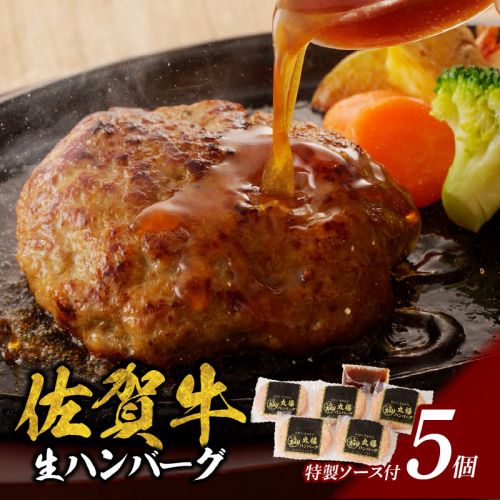 丸福 ハンバーグ(5個入り)(4月配送) 1463144 - 佐賀県玄海町