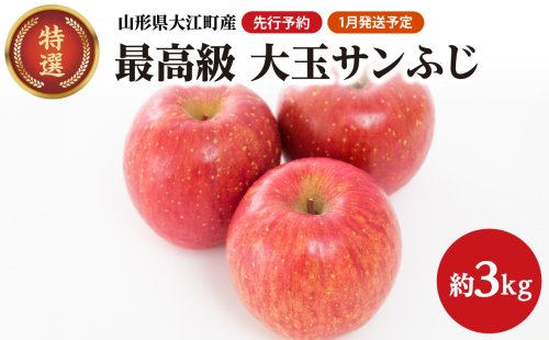 《先行予約》【1月発送予定】 最高級 特選大玉サンふじ約3kg　【大江町産・山形りんご・大地農産】 【028-027】  1463348 - 山形県大江町