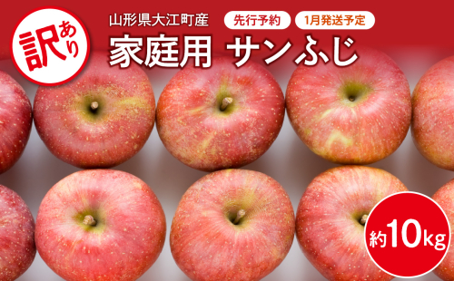 《先行受付》【2026年1月発送予定】 訳あり 家庭用サンふじ約10kg　【大江町産・山形りんご・大地農産】【028-028】 1463349 - 山形県大江町
