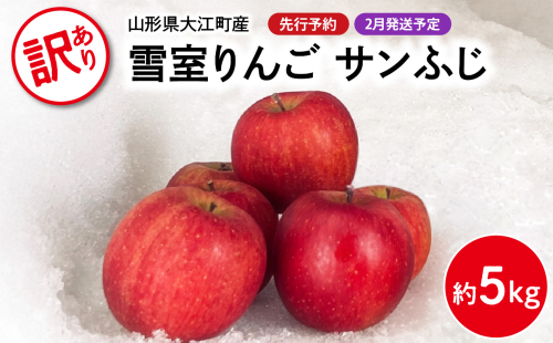 《先行予約》【2月発送予定】 訳あり 雪室りんごサンふじ 約5kg【大江町産・山形りんご・大地農産】 【028-029】 1463350 - 山形県大江町