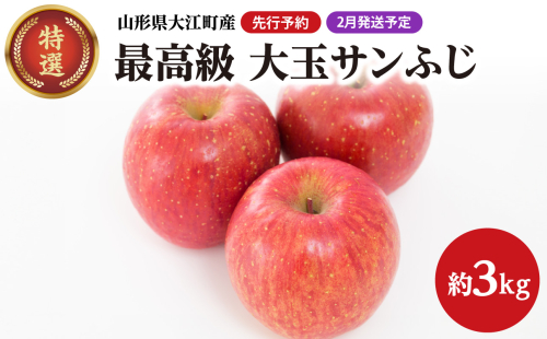 《先行予約》【2月発送予定】 最高級 特選大玉サンふじ約3kg　【大江町産・山形りんご・大地農産】 【028-031】 1463449 - 山形県大江町