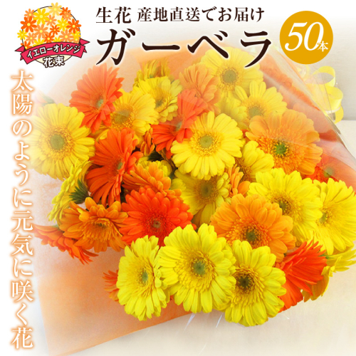 【ラッピング付】生花 イエローオレンジガーベラ の花束 50本 日付指定可能 ギフト プレゼント ラッピング 産地直送 インテリア お花 フラワー ボリューム満点 H193-003 1463464 - 愛知県碧南市