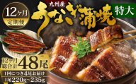 【12ヶ月定期便】九州産 うなぎ蒲焼 特大4尾 (1尾あたり220～235g)  合計48尾 たれ 山椒 鰻 ウナギ 蒲焼き 国産 冷凍 鹿児島、宮崎、熊本等産うなぎ原料使用