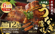 【6ヶ月定期便】九州産 手焼き炭火 うなぎ蒲焼 2尾（1尾あたり120～149g） 合計12尾 たれ 山椒 鰻 蒲焼き 冷凍 国産 送料無料 鹿児島、宮崎、熊本等産うなぎ原料使用