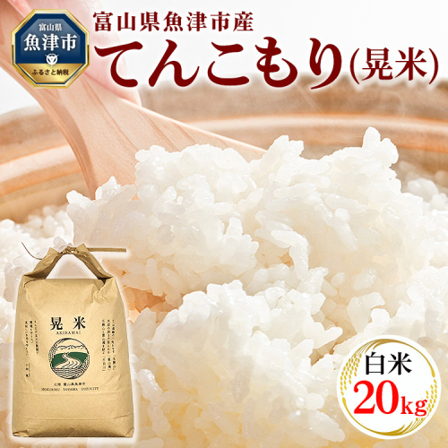 【令和6年度米】環境配慮「魚津のてんこもり（晃米）」20kg（白米） ｜ MK農産 白米 銘柄米 ご飯 おにぎり お弁当 和食 主食 国産 産地直送 甘み 香り もちもち ※2024年10月下旬頃より順次発送予定 ※北海道・沖縄・離島への配送不可 1464435 - 富山県魚津市