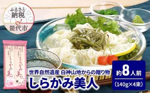 うどん しらかみ美人 140g(約2人前)×4束 麺 乾麺 鍋 冷たい 温かい ざるうどん 鍋の締め 1464888 - 秋田県能代市