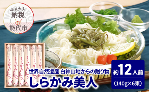 うどん しらかみ美人 140g(約2人前)×6束 麺 乾麺 鍋 冷たい 温かい ざるうどん 鍋の締め 1464889 - 秋田県能代市