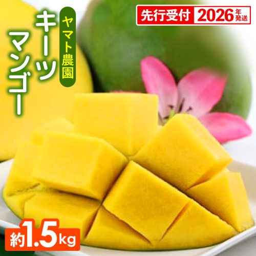 【先行受付】【2026年発送】ヤマト農園 キーツマンゴー約1.5kg - 産地直送 沖縄産 国産 果物 フルーツ 南国フルーツ 旬の味覚 追熟 先行予約 希少種 人気 おすすめ 送料無料 沖縄県 八重瀬町 146551 - 沖縄県八重瀬町