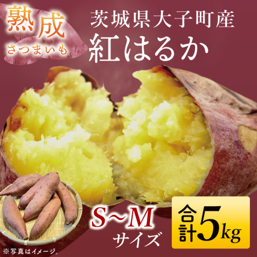 【先行予約】【10月中旬より順次発送予定】熟成さつまいも 紅はるか 5kg｜茨城県 大子町 サツマイモ べにはるか 芋 甘い ホクホク 野菜 数量限定 5キロ 旬（CH001） 1465530 - 茨城県大子町