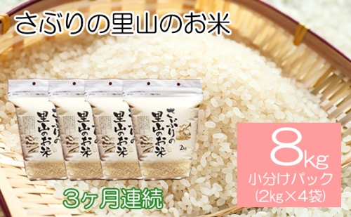 定期便 【3ヶ月連続】さぶりの里山のお米　コシヒカリ精米　小分けパックのセット　8kg
