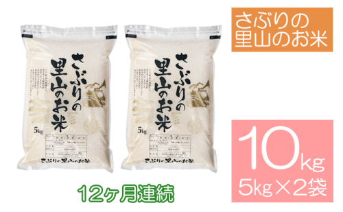 定期便 【12ヶ月連続】さぶりの里山のお米　コシヒカリ精米　5kg×2袋（10kg）  146561 - 福井県おおい町