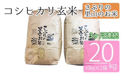 定期便 【3ヶ月連続】さぶりの里山のお米　コシヒカリ玄米 10kg×2袋（20kg）  146562 - 福井県おおい町