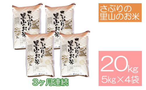 定期便 【3ヶ月連続】さぶりの里山のお米　コシヒカリ精米　5kg×4袋セット（20kg）  146563 - 福井県おおい町