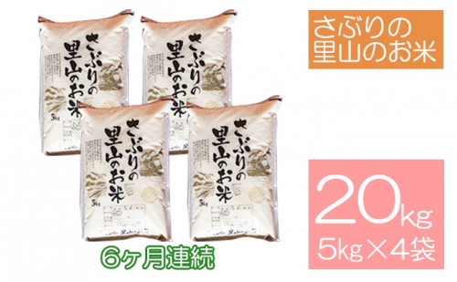 定期便 【6ヶ月連続】さぶりの里山のお米　コシヒカリ精米　5kg×4袋セット（20kg） 146564 - 福井県おおい町