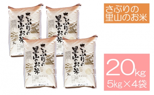 さぶりの里山のお米　コシヒカリ精米　5kg×4袋セット（20kg） 146569 - 福井県おおい町