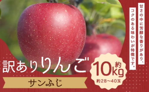 訳あり りんご （サンふじ） 約10kg／ リンゴ 林檎 フルーツ くだもの 果物 果実 わけあり お取り寄せ 【2025年12月下旬－2026年1月下旬発送予定】