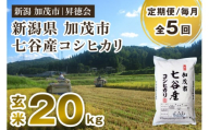 【令和6年産新米先行予約】【定期便5ヶ月毎月お届け】新潟県加茂市 七谷産コシヒカリ 玄米20kg（5kg×4） 高柳地域産数量限定 昇徳会