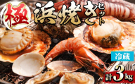 ＜平日着＞【極】浜焼きセット(約3kg)【sm-DD015・sm-DD016・sm-DD017・sm-DD018・sm-DD019】【Workplays】