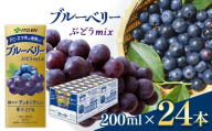 【定期便12回】紙ブルーベリーミックス200ml　24本入り 伊藤園   | ブルーベリーフルーツ ジュース ドリンク 飲料 健康 食品 長期常温可能 1ケース 長野県 松本市 ふるさと納税