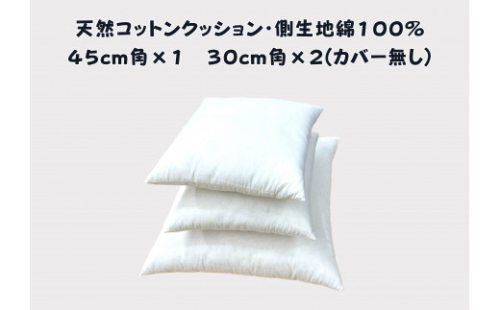 寝室やリビングをおしゃれに飾るベッドクッション（無地、カバーなし）【CW123W】 1466749 - 滋賀県近江八幡市