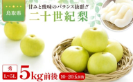 二十世紀梨　秀5kg前後