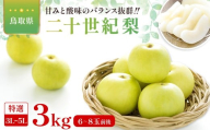 二十世紀梨　特選3kg