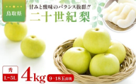 二十世紀梨　秀4kg