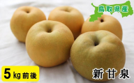 プレミアム新甘泉　5kg前後